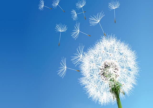 幼兒園、中小學(xué)等教育培訓(xùn)機(jī)構(gòu)安裝單向流新風(fēng)系統(tǒng)方案